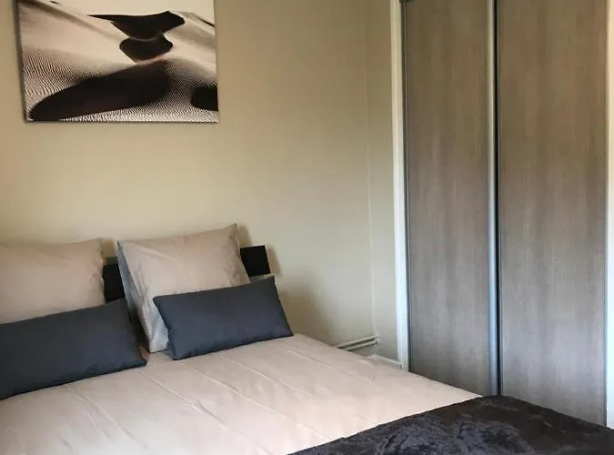 Confort - Nancy Centre - Chambre - Salle De Sport - 45 M2